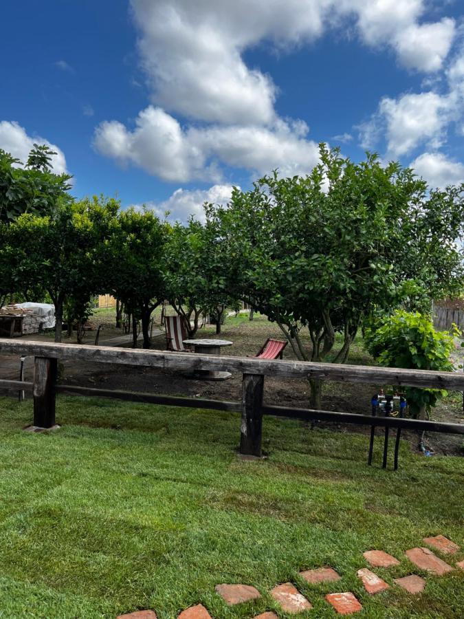 Graziosa Stanza Campidanese Su Terzu Guest House Oristano Eksteriør bilde