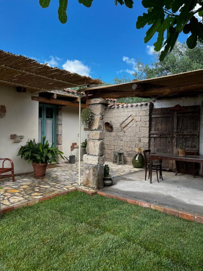 Graziosa Stanza Campidanese Su Terzu Guest House Oristano Eksteriør bilde